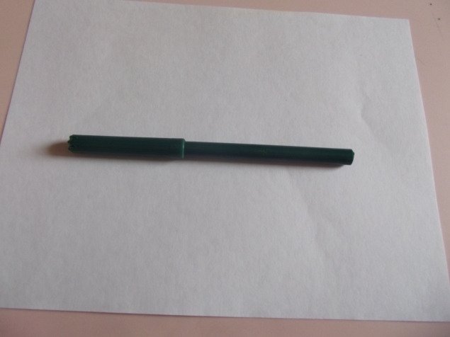 Гриб . Гриб .