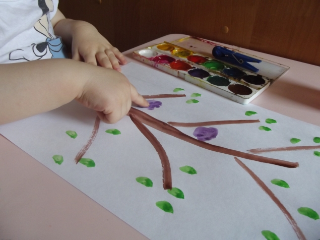 Попугаи . Попугаи .