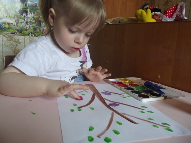 Попугаи . Попугаи .