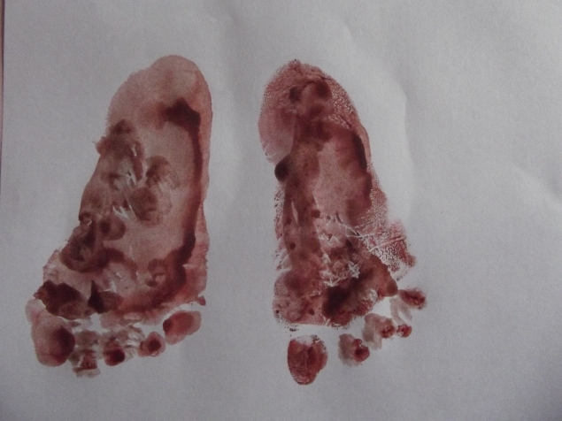 Обезьянки . Обезьянки .