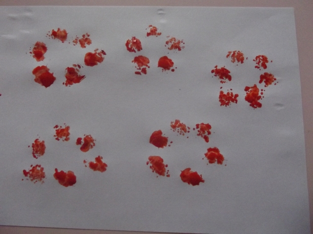 Цветы пробкой . Цветы пробкой .