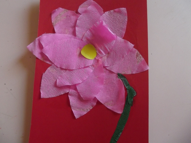 Розовый цветок . Розовый цветок .