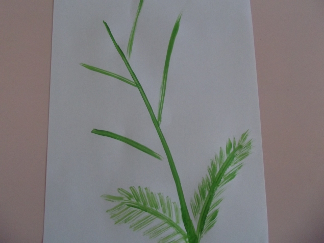 Мимоза . Мимоза .