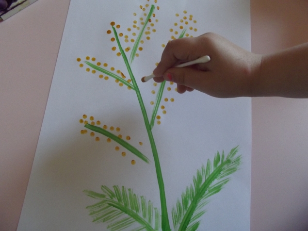 Мимоза . Мимоза .