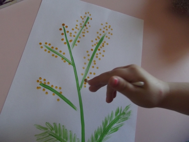 Мимоза . Мимоза .