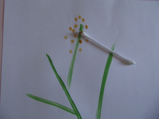 Мимоза . Мимоза .