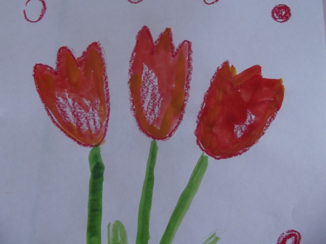Тюльпаны .