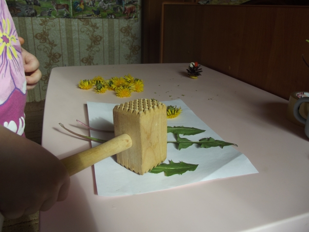 Рисование листьями и цветами . Рисование листьями и цветами .