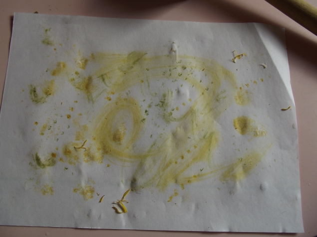 Рисование листьями и цветами . Рисование листьями и цветами .