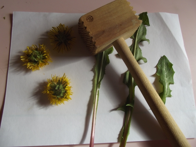 Рисование листьями и цветами . Рисование листьями и цветами .