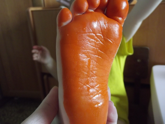 Ящерица . Ящерица .