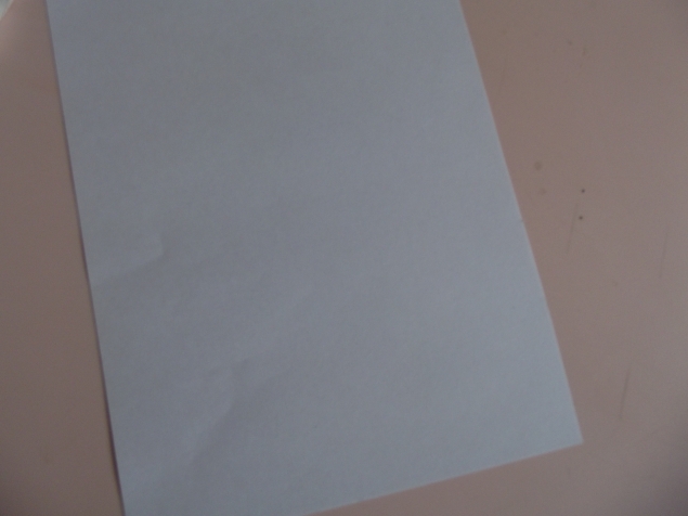 Ящерица . Ящерица .