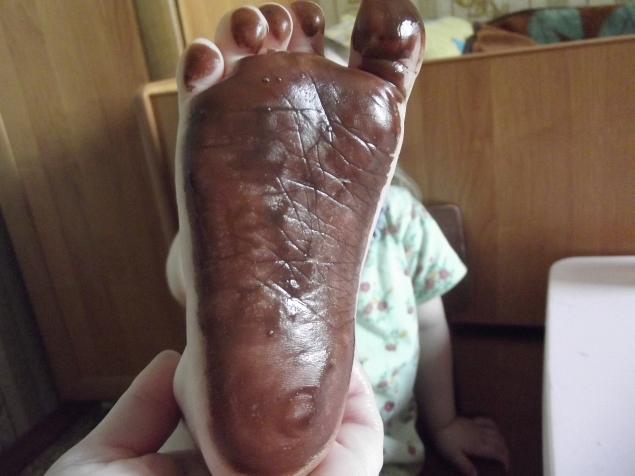 Медвежата .