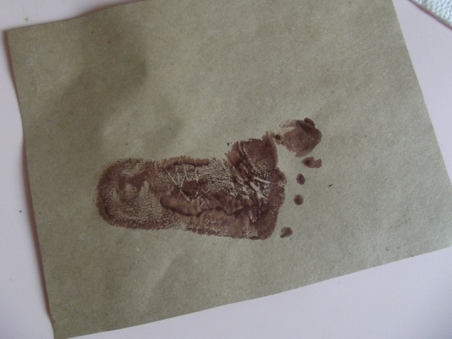 Медвежата .