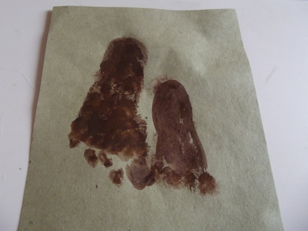 Медвежата .