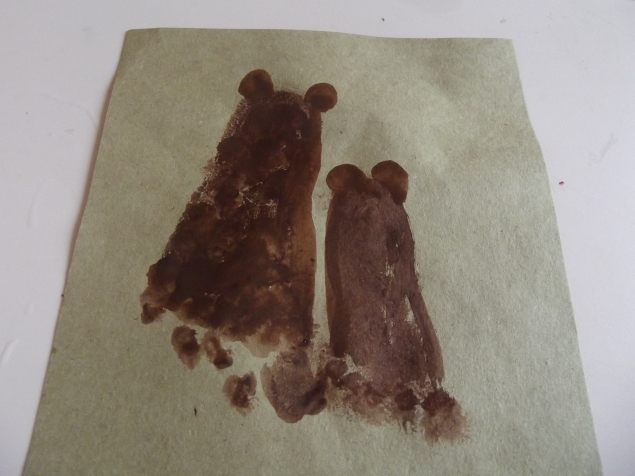 Медвежата .