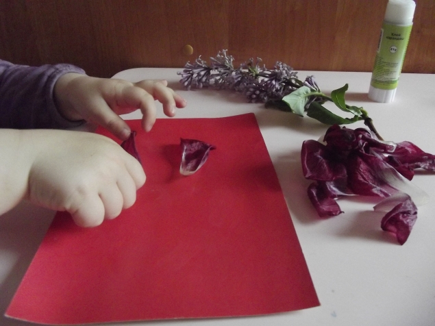 Цветочная аппликация . Цветочная аппликация .