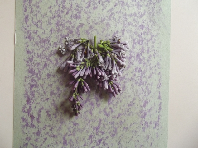 Платье . Платье .