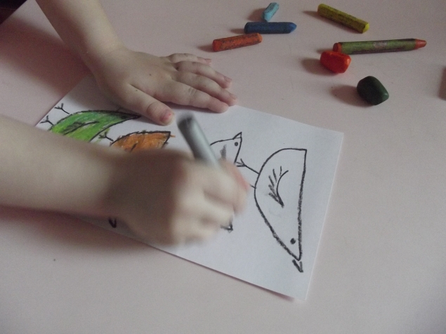 Разноцветные птицы . Разноцветные птицы .