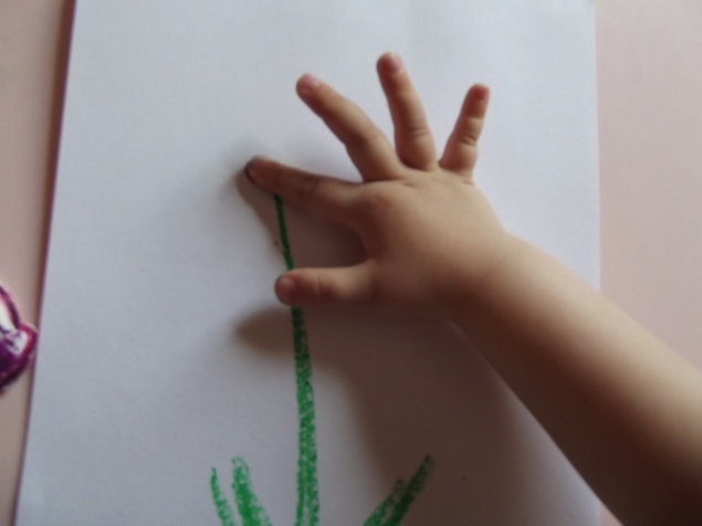 Люпины пальчиком . Люпины пальчиком .