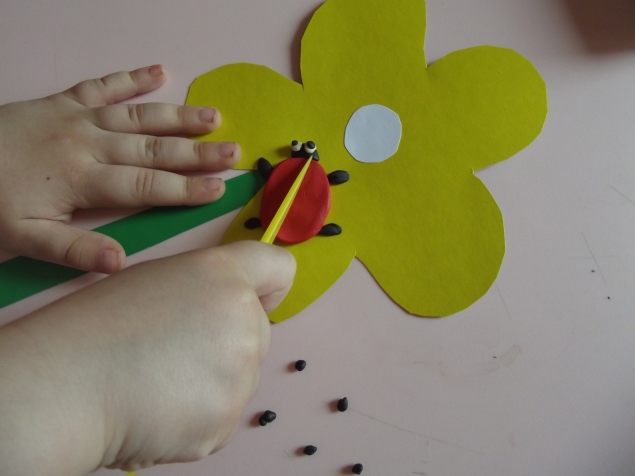 Летний цветок .