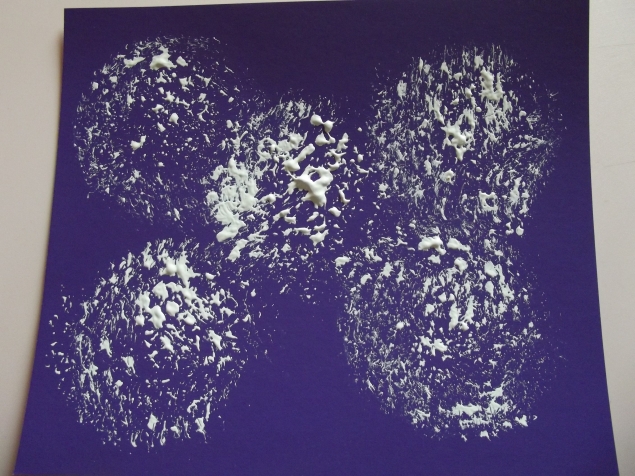 Одуванчики .