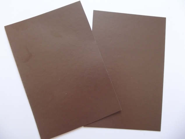 Пластилиновые идеи :Попугай .