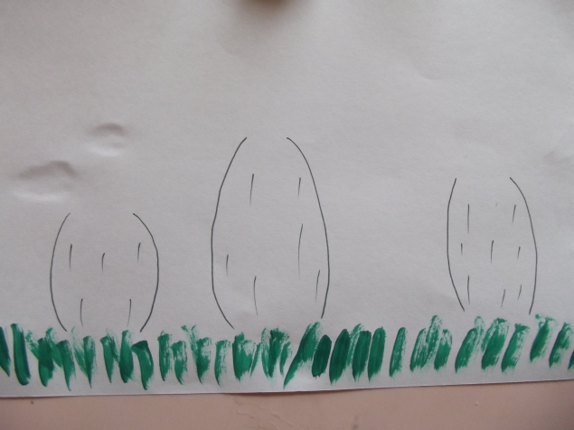 Грибы . Грибы .