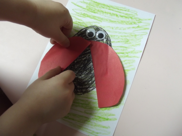 Божья коровка . Божья коровка .