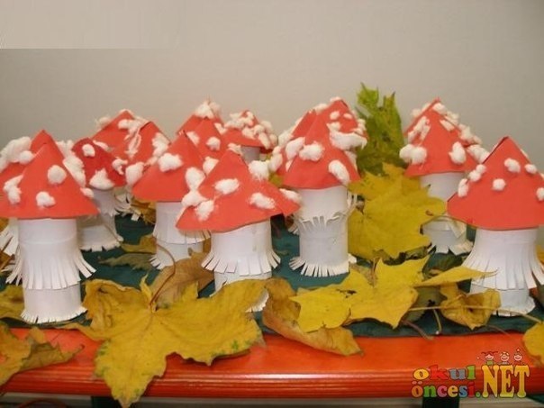 В лес по грибы!