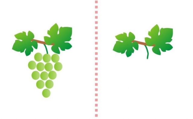 Рисуем пальчиками Рисуем пальчиками