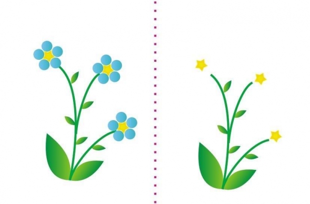 Рисуем пальчиками Рисуем пальчиками