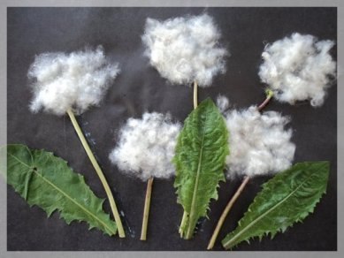 Одуванчики из ваты Одуванчики из ваты