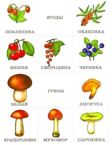 Разложи по группам