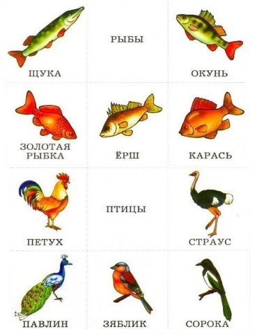 Разложи по группам