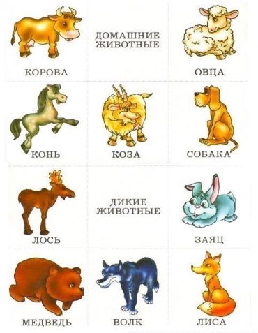 Разложи по группам