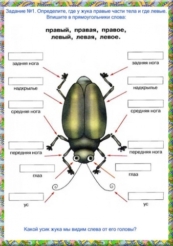 Лево и право Лево и право