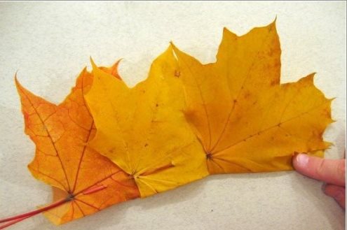Корона из осенних листьев