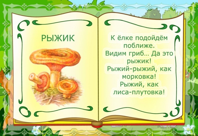 Изучаем названия грибов