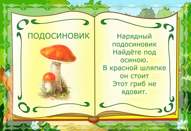 Изучаем названия грибов