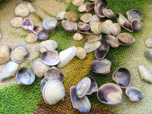 Воспоминания о море Воспоминания о море