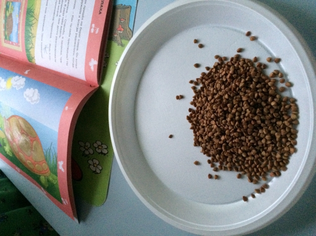 Добрая черепаха. Творческие задания. Ульева. Добрая черепаха. Творческие задания. Ульева.