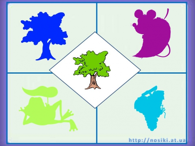 Развитие внимания: найди тень