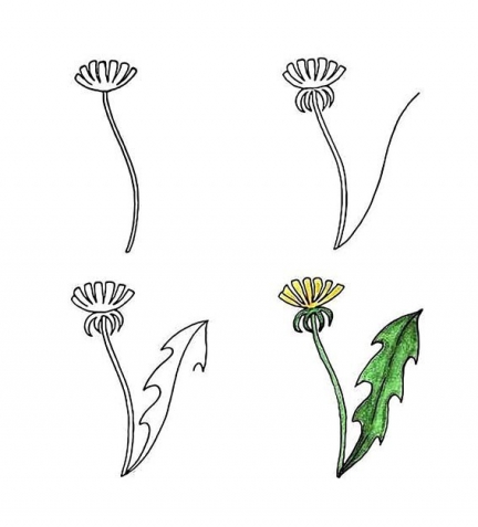 Учимся рисовать цветы