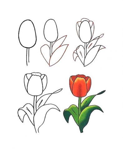 Учимся рисовать цветы