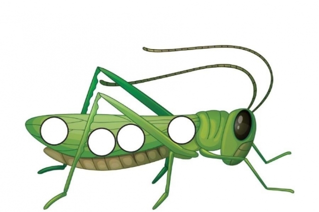 Шаблоны для пальчикового рисования