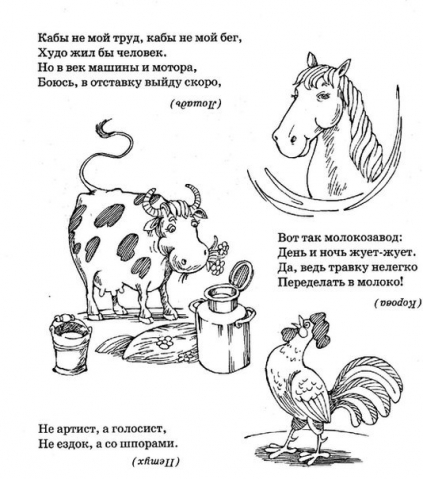 Загадки про животных