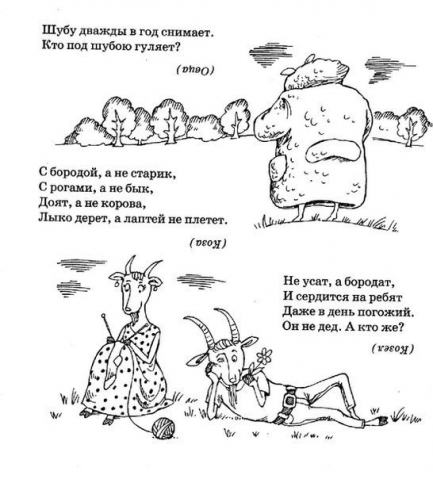 Загадки про животных