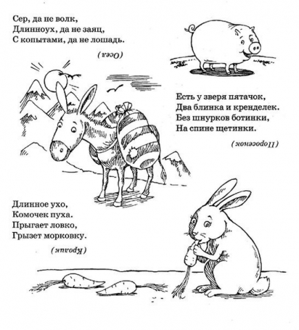 Загадки про животных