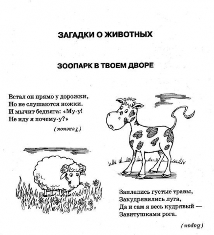 Загадки про животных